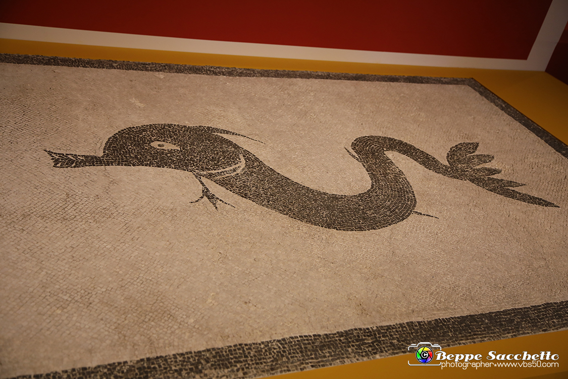 VBS_8994 - Mostra Invito a Pompei.jpg